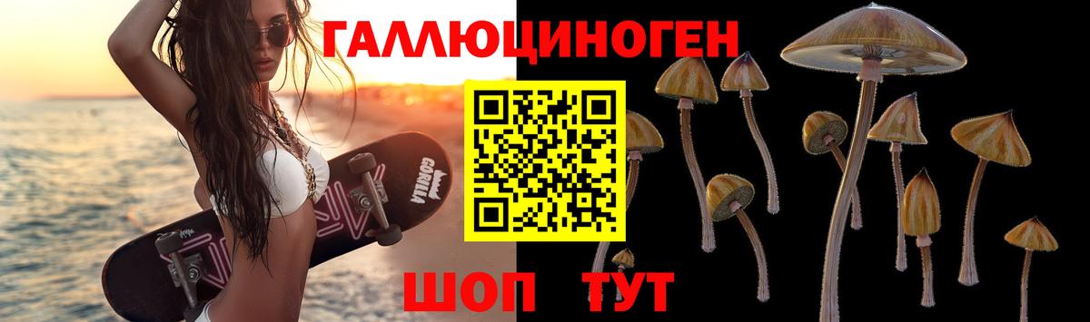 Псилоцибиновые грибы Psilocybine cubensis  Вход с VPN  Сосновоборск 