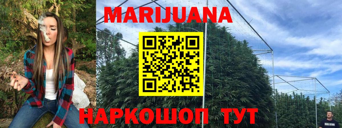 Конопля планчик Сосновоборск